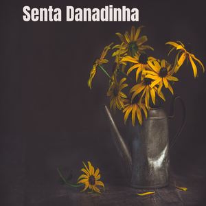 Senta Danadinha