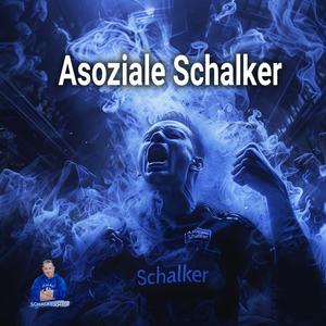 Asoziale Schalker