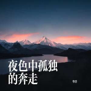夜色中孤独的奔走