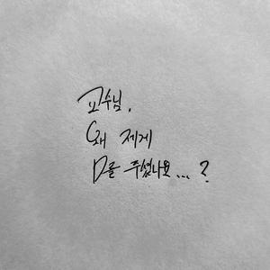 교수님 왜 제게 D를 주셨나요