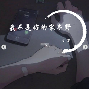 我不是你的宋冬野