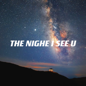 THE NIGHT I SEE U