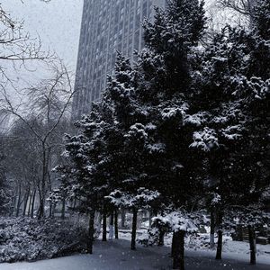 你的（cover:贺仙人）