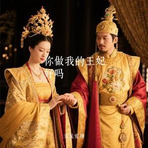 你做我的王妃好吗