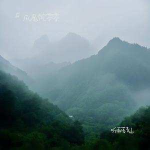 青山听雨落