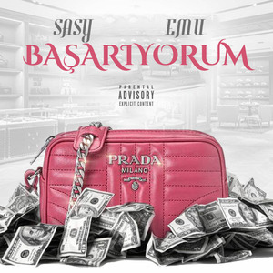 Başarıyorum