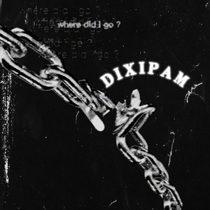 DIXIPAM（prod.by Morrow x Aye叶师傅）