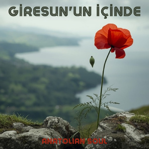 Giresun'un İçinde