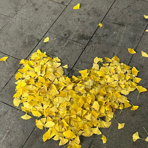 《爱是放大镜》