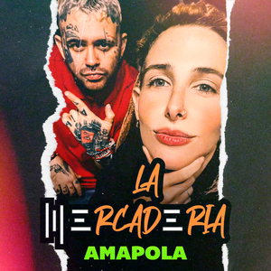 Amapola