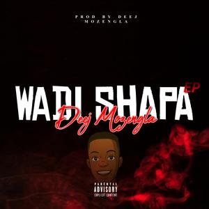 Sesfikile (feat. Deej Small man SA, Rs AyTee, Mash, Jayy Squared Rsa & Kaysim Rsa)