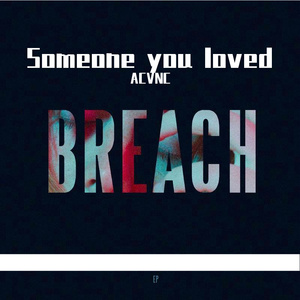 Various Artists-Someone you loved（ACVNC remix）