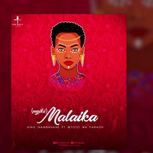 Malaika (feat. King Namba Nane)