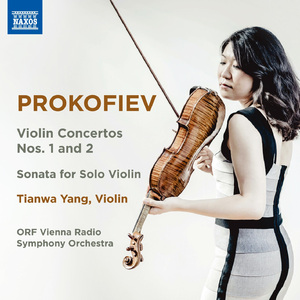 Violin Concerto No. 1 in D Major, Op. 19:III. Moderato