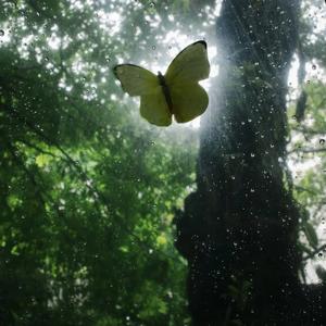 你不知道的事（女声版）