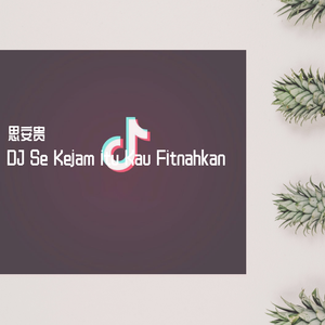 思安贵-DJ Se Kejam itu Kau Fitnahkan（抖音版）（思安贵 remix）