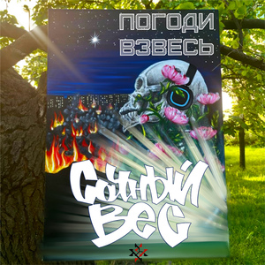 Погоди взвесь