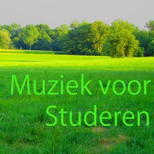 Muziek voor Studeren 5