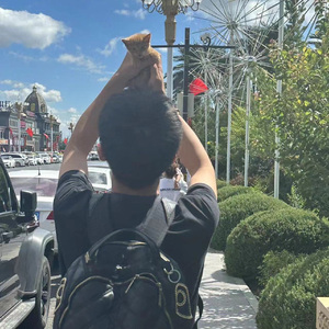 王盛铎的雾凇岛