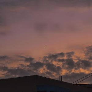 君の脈で踊りたかった/我想在你的脉搏中跳舞（翻自 初音ミク）