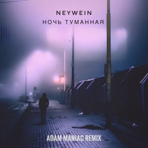 Ночь туманная (Adam Maniac Remix)