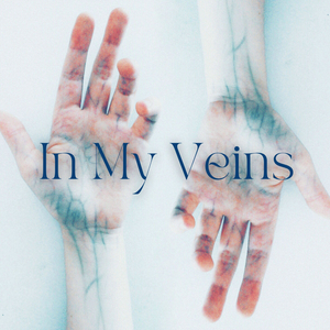 Le Clessidre Di Durer (Live)