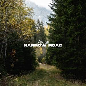 Narrow Road