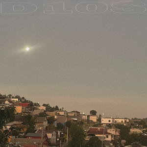 D10s