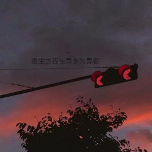 重生之我在异乡为异客