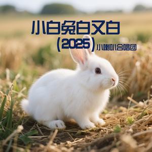 小白兔白又白 (五一节欢快版)