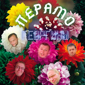 Георгины