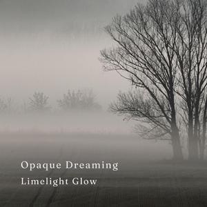 Opaque Dreaming