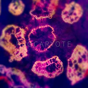 Procaryote