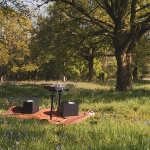 Feelings of Unreality (Live)