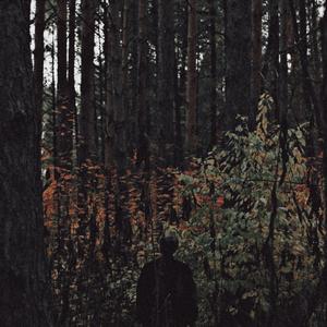 Панические Атаки