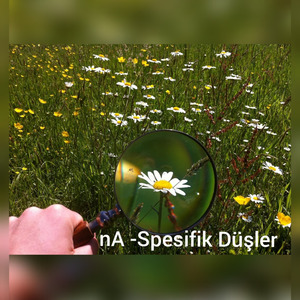 Spesifik Düşler