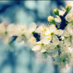 其实我真的很在乎