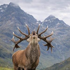 Come and join me on a journey