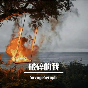 破碎的我（闲人琐述pt2）