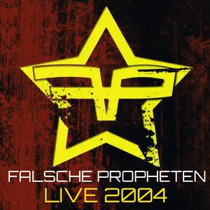 Einblick (Live in Markgröningen 08.09.2004)