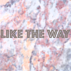 Like the Way