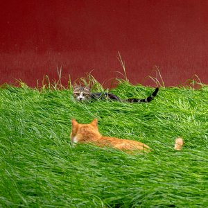 缘分如蛛丝的挚爱