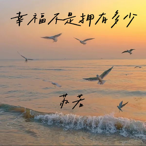 幸福不是拥有多少
