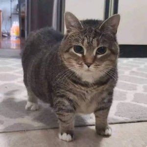 あたらよ-「僕は...」(Piano inst.)（徹野 remix）