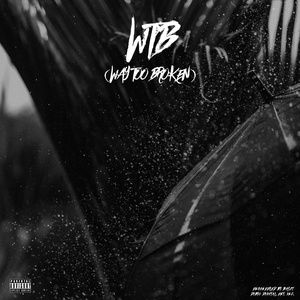 WTB (Way Too Broken) - Remastered