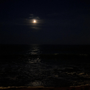 夢見る月夜の調べ