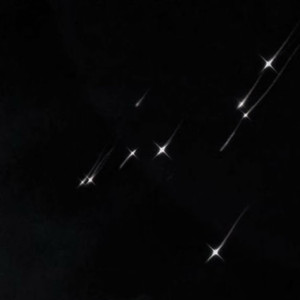 白鸽错把真心给了乌鸦