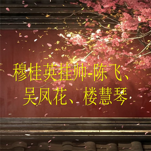 穆桂英挂帅-10