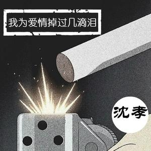 我为爱情掉过几滴泪（翻自 杨小壮）