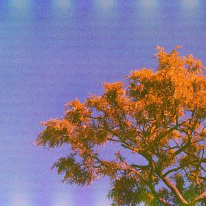 列车不要停下来